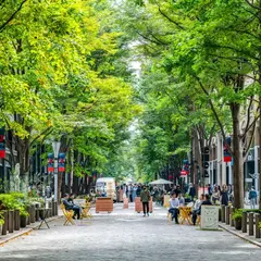 丸の内仲通り