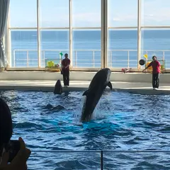 アクアワールド茨城県大洗水族館
