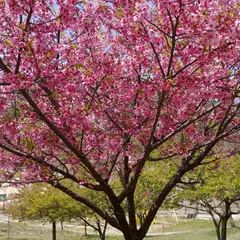 恋文字公園（造賀財産区）