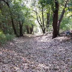 大井ふ頭中央海浜公園