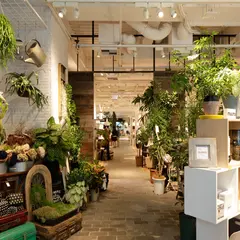 アクタス（ACTUS）青山店