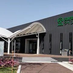 ウインズ宮崎