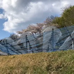 岡山フルーツステーション