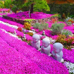 奈良 速成寺（永代供養・芝桜庭園樹木葬・納骨堂・お墓・水子供養）