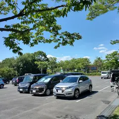 霞ヶ浦総合公園・テニスコート 駐車場
