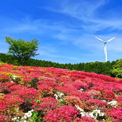 菅無田公園