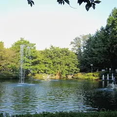 妙正寺公園