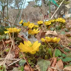興徳山豊国寺