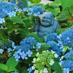 建仁寺 霊源院