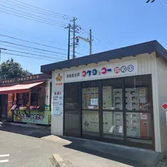 コケコッコー共和国 勢和多気店