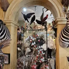 Design & Nature