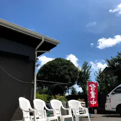ドッグクルーラッキー