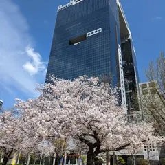 大淀中公園