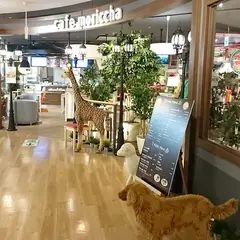 イオンスタイル湘南茅ヶ崎