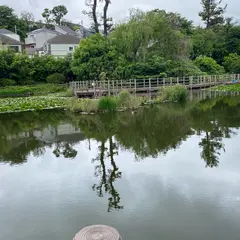 白幡池公園