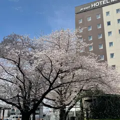 駒込駅