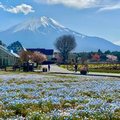 山中湖花の都公園