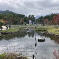 じゃぶじゃぶ池