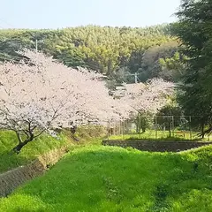 藤ノ木ほたるの里