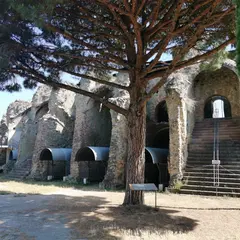 Arènes de Fréjus