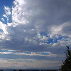 日本
