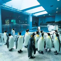 長崎ペンギン水族館