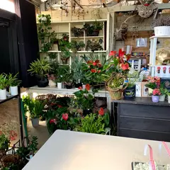 伊豆ばら園