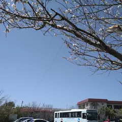 番所鼻自然公園 駐車場