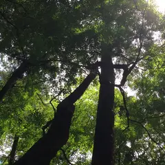 成田山公園