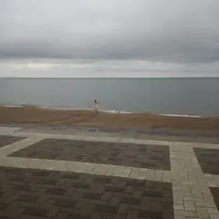新潟砂丘