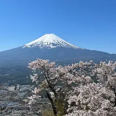 鎌倉大仏殿高徳院駐輪場