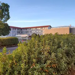 岐阜医療科学大学