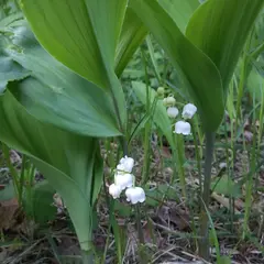 富丘西公園
