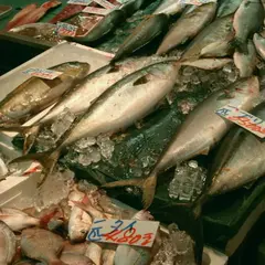 野田鮮魚店