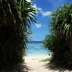 トケイ浜