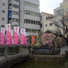 うどん双樹