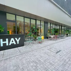 HAY OSAKA