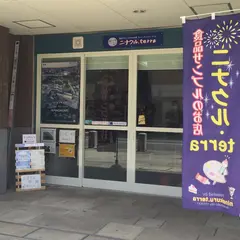 食品サンプルのお店 ニナクル.terra