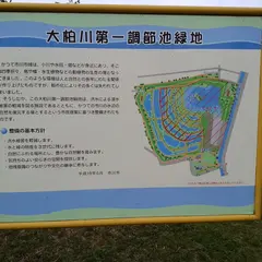 大柏川第一調節池緑地