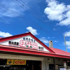峠のふもと紅果園