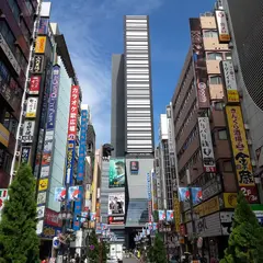 ゴジラヘッド