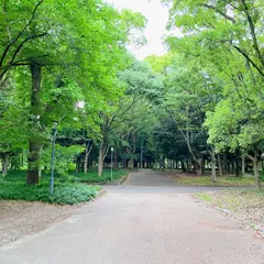 市民の森（大阪城公園内）