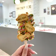 TRUMP ICE