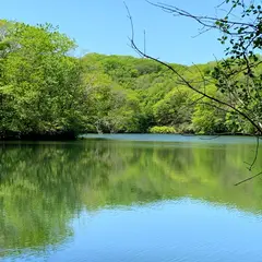 錦大沼公園