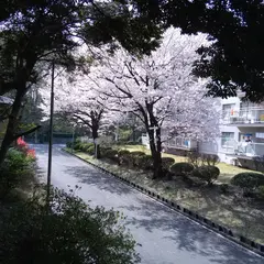 竹山団地中央商店街