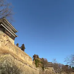 上田城跡公園駐車場