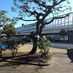 みなと公園