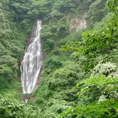鱒返しの滝