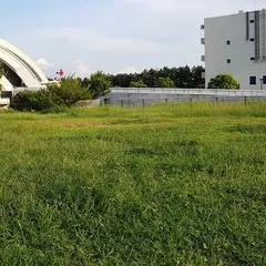 たつみの森ドッグラン