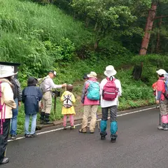 船上山屏風岩